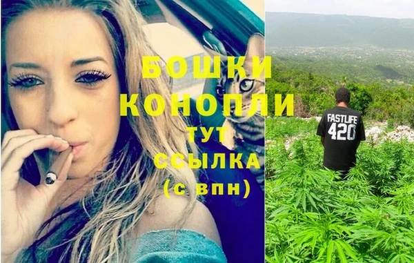 крисы Зеленокумск