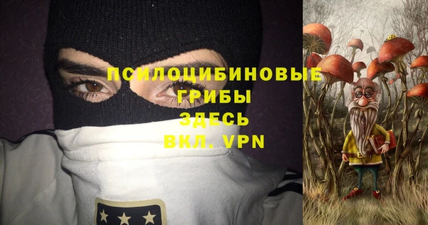 тгк Зеленодольск