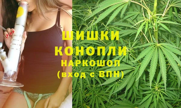 крисы Зеленокумск
